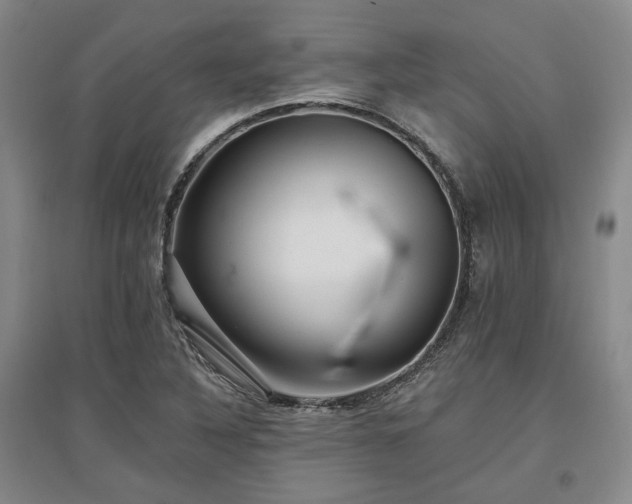 X0000097491316200802221406