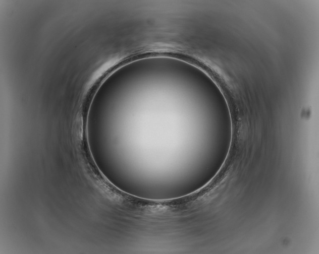 X0000097491317200802221406