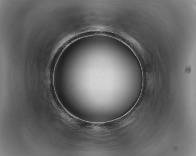 X0000097491318200802221406
