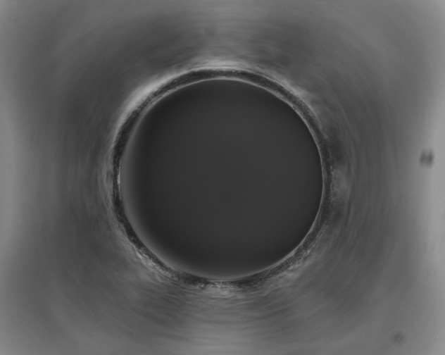 X0000097491319200802221406