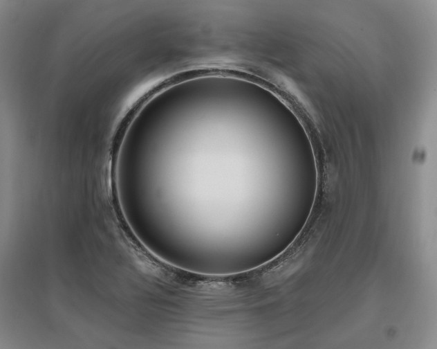 X0000097491320200802221406