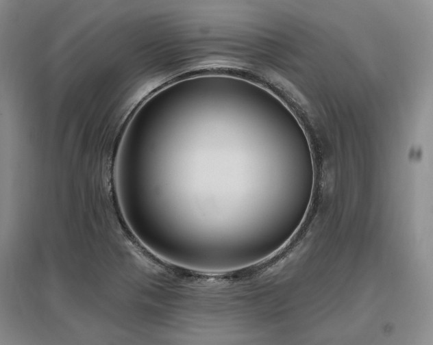 X0000097491321200802221406