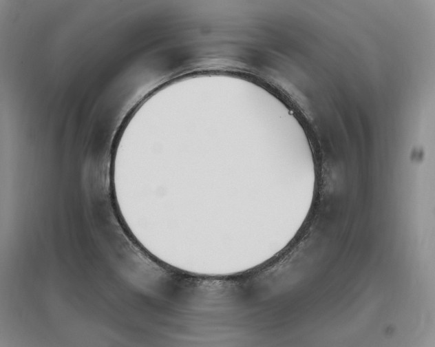X0000097491322200802221406