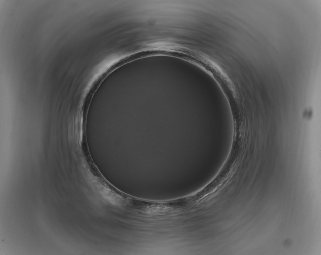 X0000097491323200802221406
