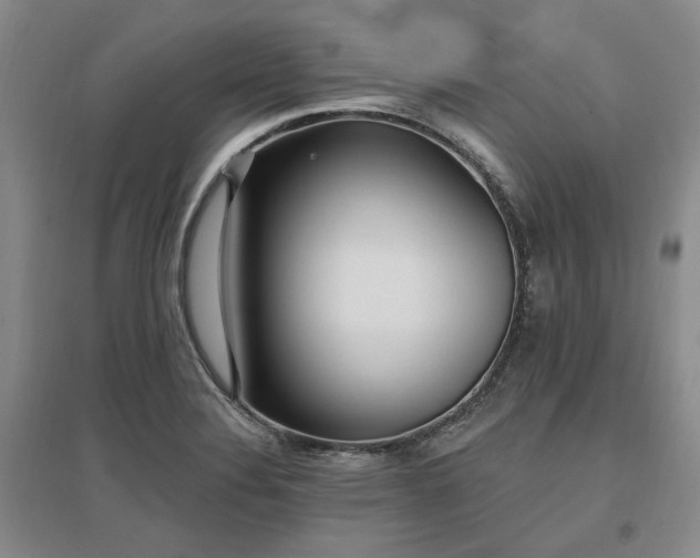 X0000097491324200802221406