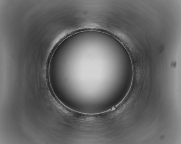 X0000097491326200802221406