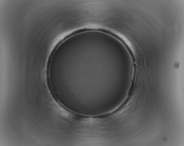 X0000097491327200802221406