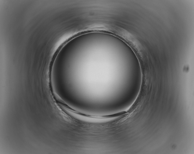 X0000097491328200802221406