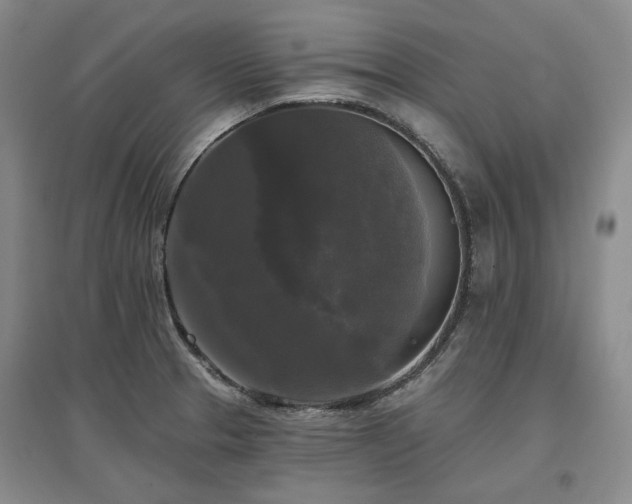 X0000097491329200802221406