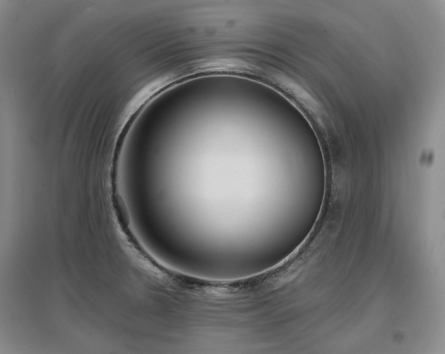 X0000097491330200802221406