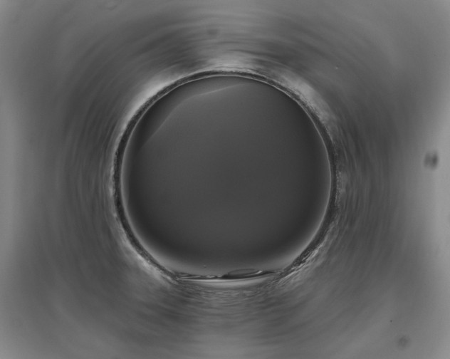 X0000097491331200802221406