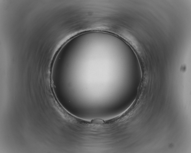 X0000097491332200802221406
