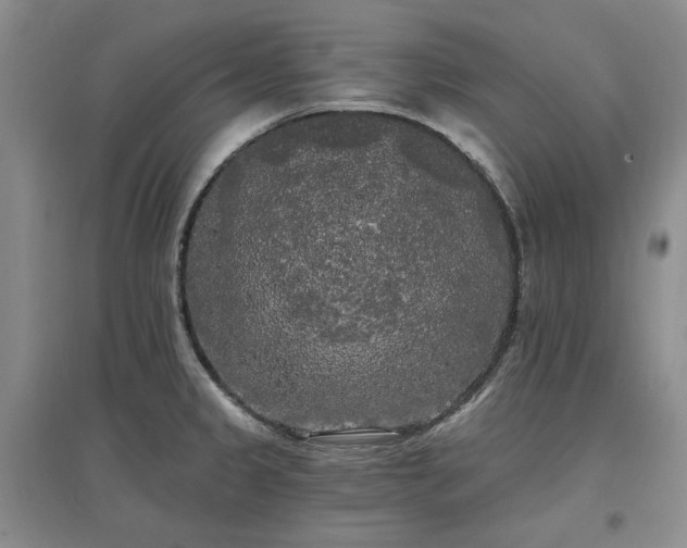 X0000097491333200802221406