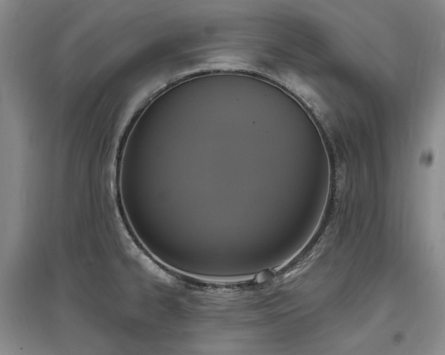 X0000097491334200802221406