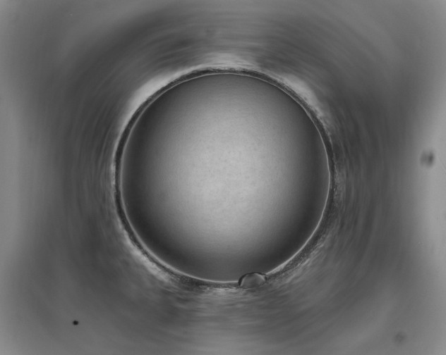 X0000097491335200802221406