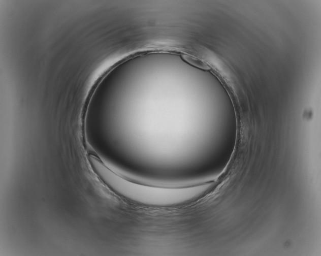 X0000097491336200802221406