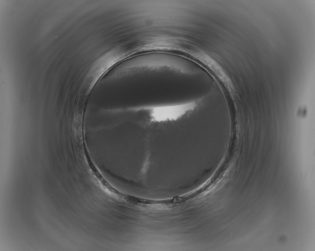 X0000097491337200802221406