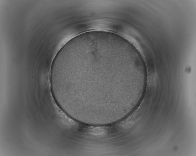 X0000097491338200802221406