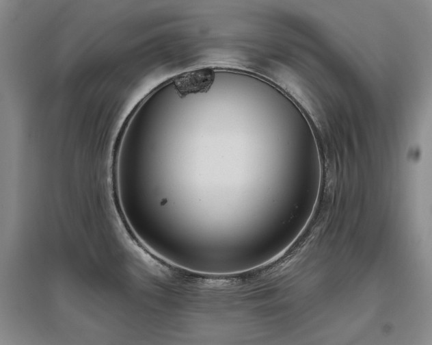 X0000097491339200802221406
