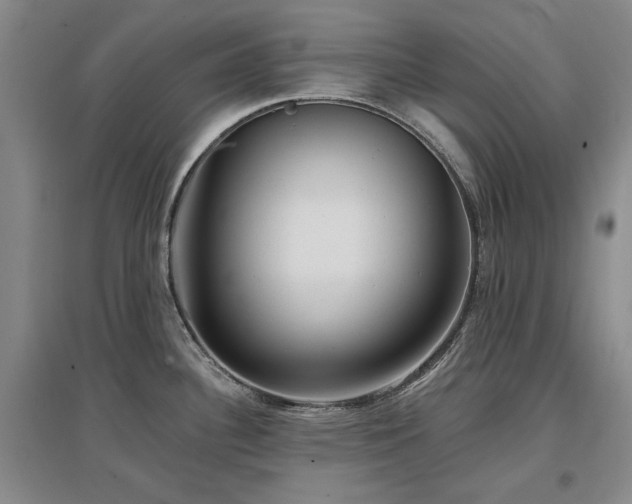 X0000097491340200802221406