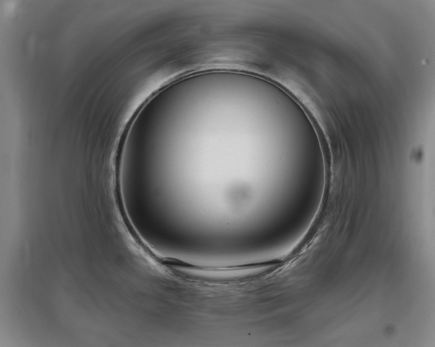 X0000097491341200802221406