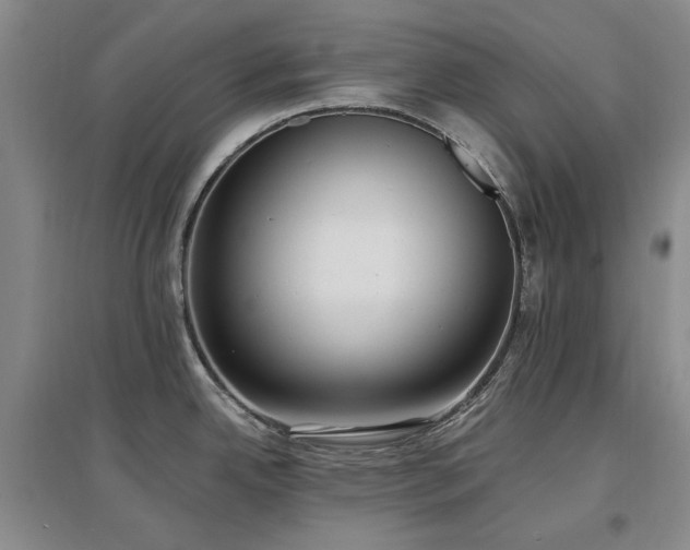 X0000097491342200802221406
