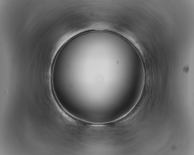 X0000097491343200802221407