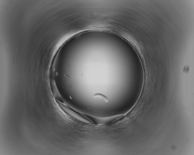 X0000097491344200802221407