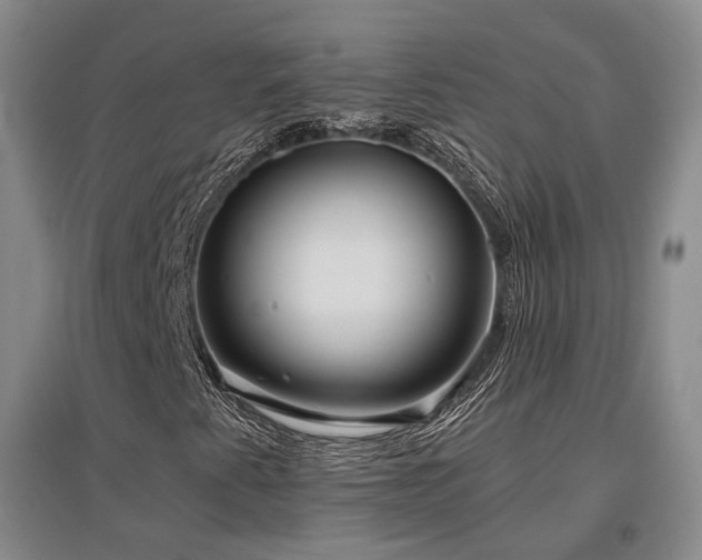 X0000097491345200802221406