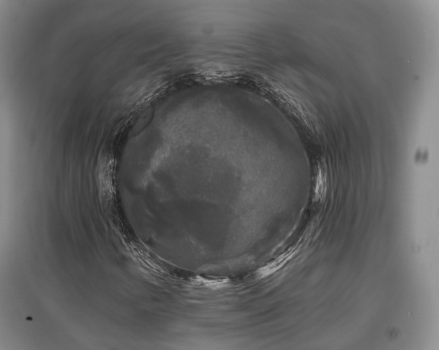 X0000097491346200802221406