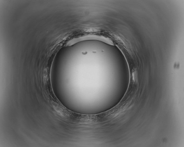 X0000097491347200802221406