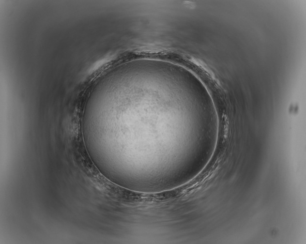 X0000097491350200802221406