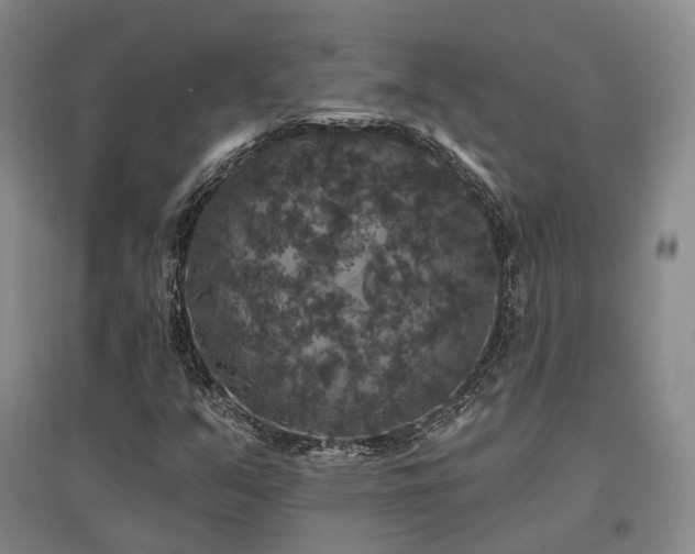X0000097491351200802221406