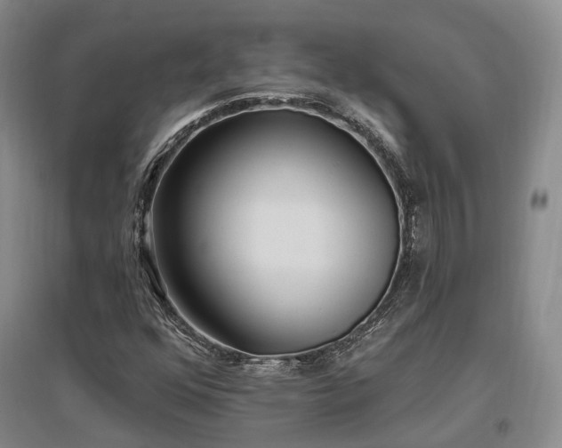 X0000097491352200802221406