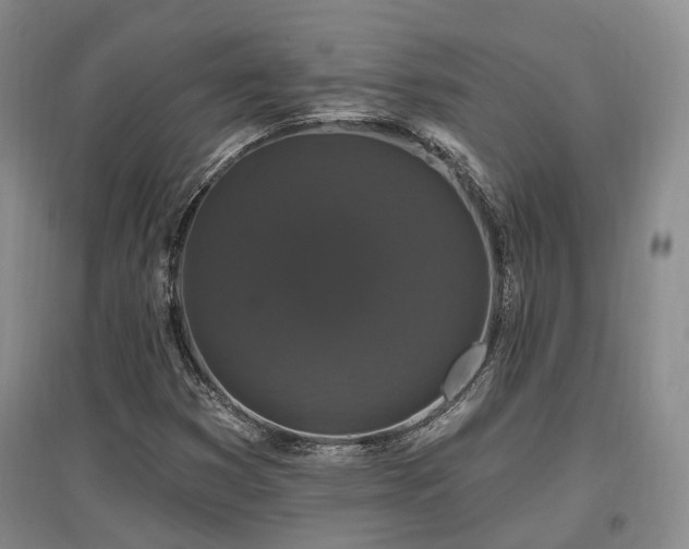 X0000097491353200802221406