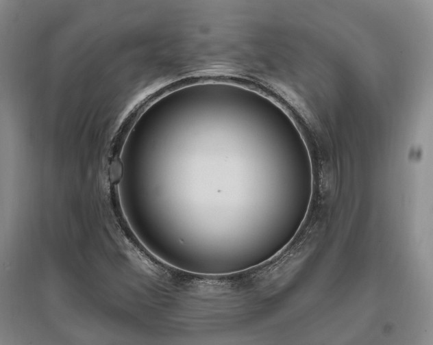 X0000097491356200802221406