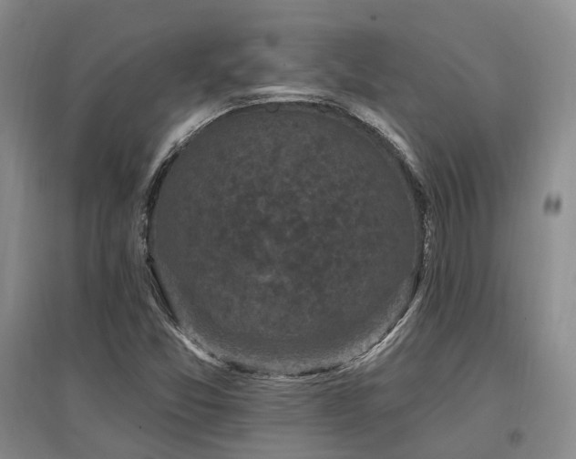 X0000097491357200802221406