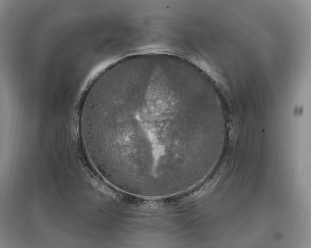 X0000097491358200802221406