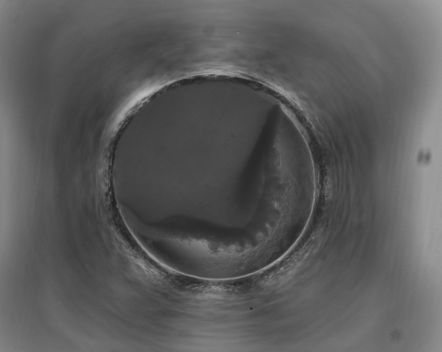 X0000097491359200802221406