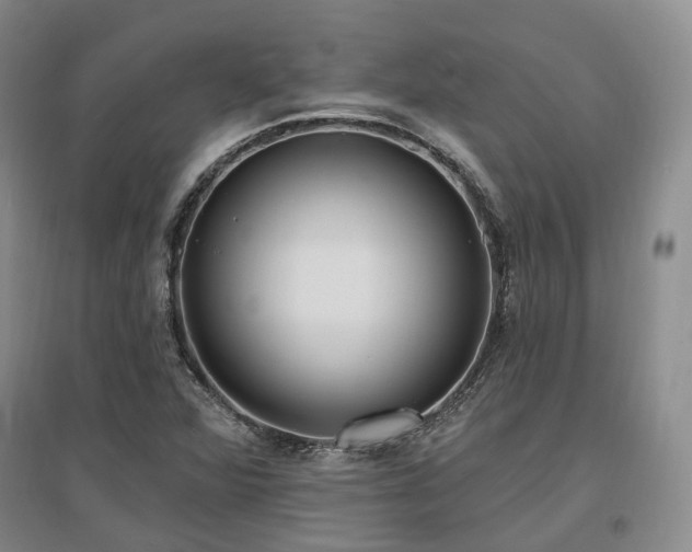X0000097491360200802221406