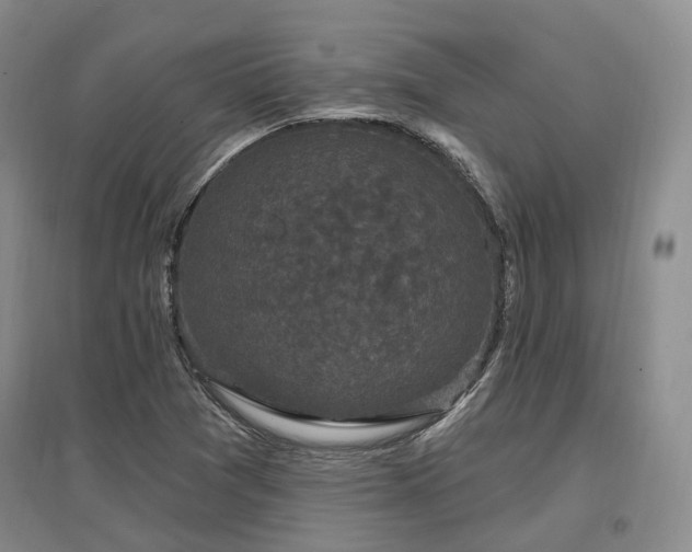 X0000097491361200802221406