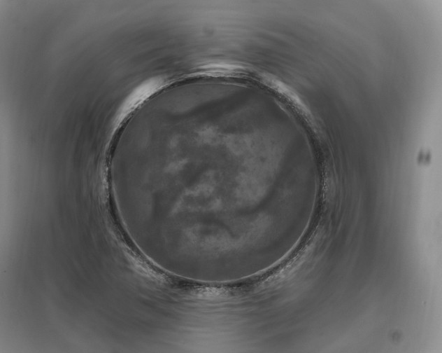 X0000097491362200802221405