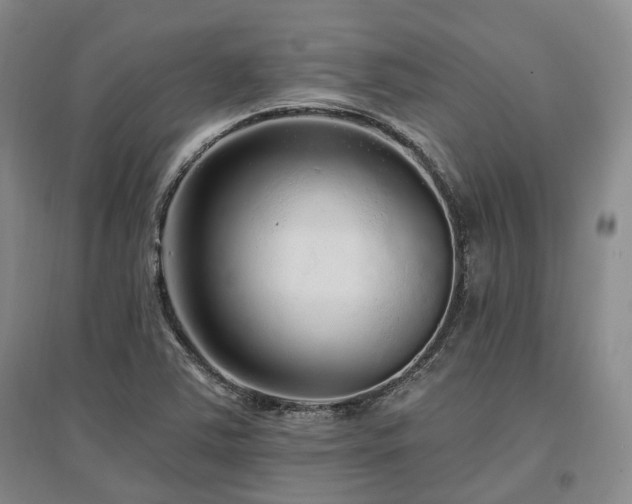 X0000097491363200802221405