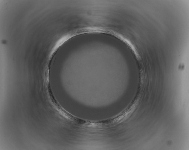 X0000097491365200802221405