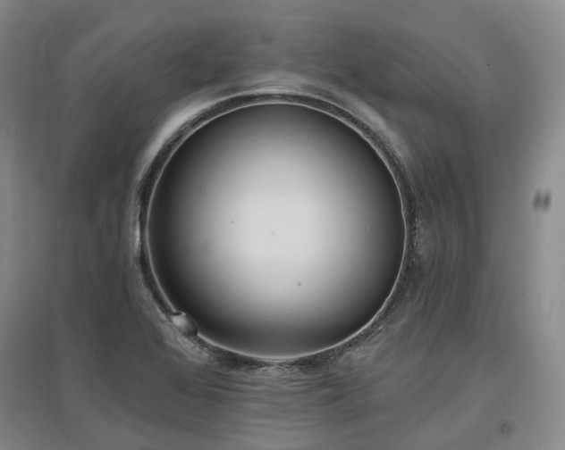 X0000097491368200802221405