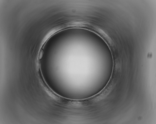 X0000097491370200802221405