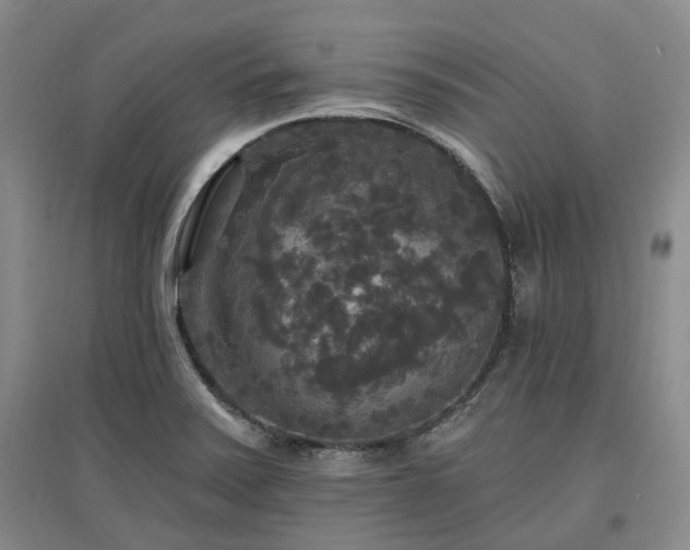 X0000097491371200802221405