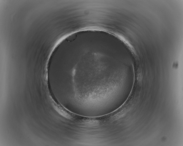 X0000097491372200802221405