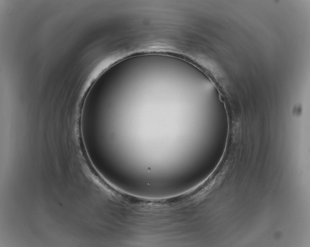 X0000097491374200802221405