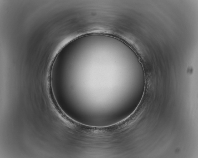 X0000097491375200802221405